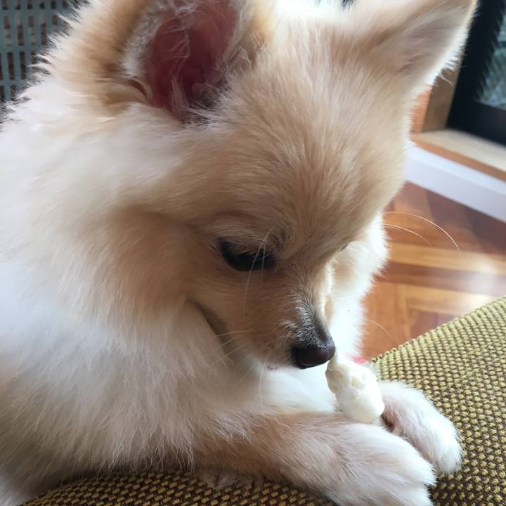 F3bdd2d7 736b 4184 9158 c1f1686f5eb3