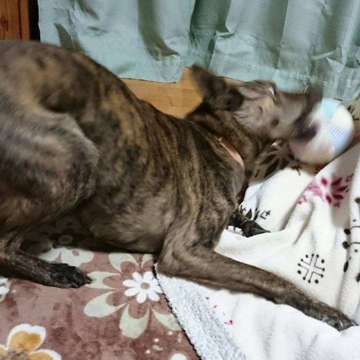 F3be1ef5 bd7d 490c 8f32 cb2db4d8fce6