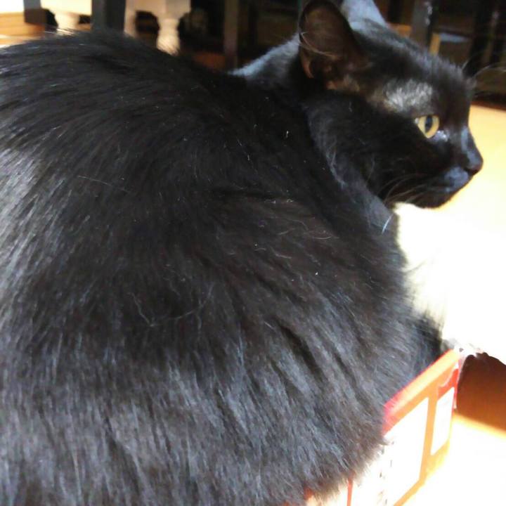 F3be23a1 654a 4d1d 81a8 60b6f81be057