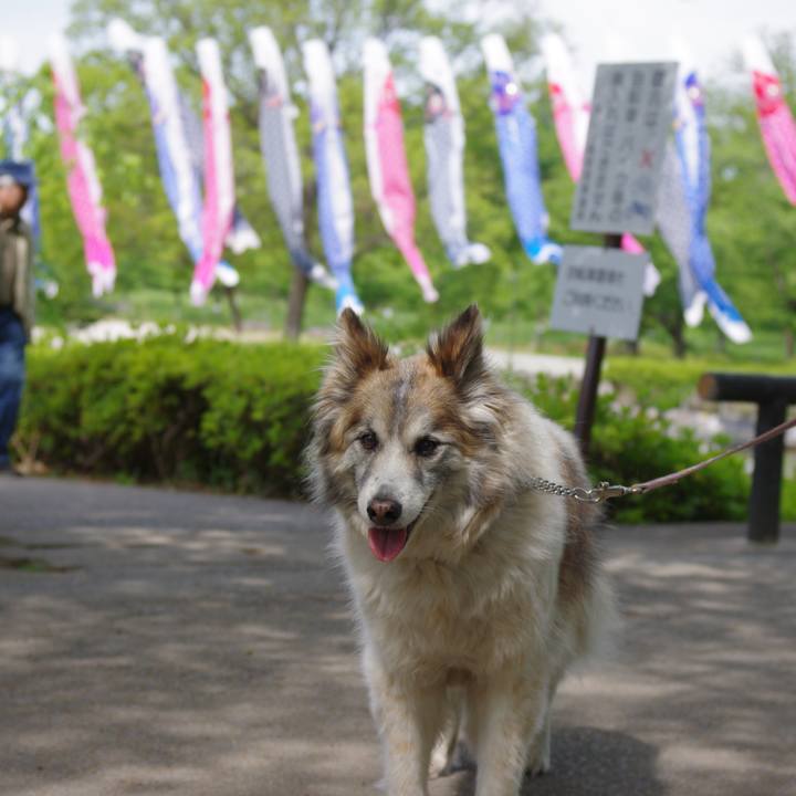 F3be97c0 56e3 4646 a453 9b5ec97385d1