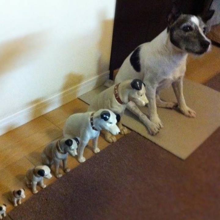 F3bf684f 1ad4 401e 8172 d8f10da0a08f