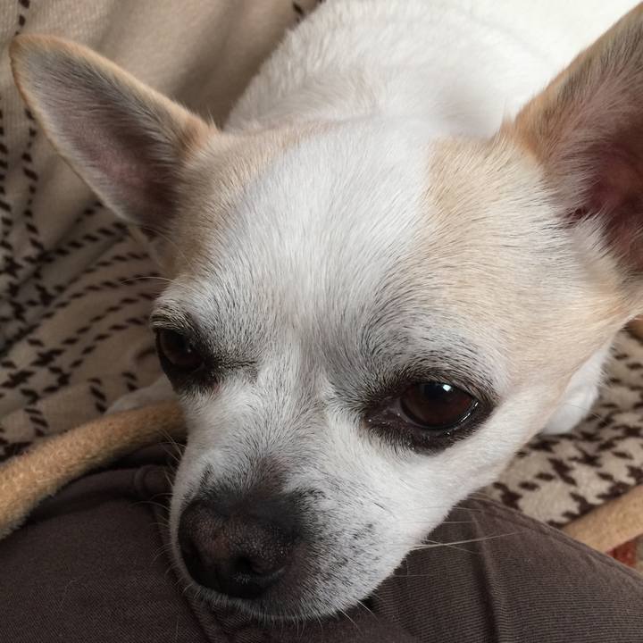 F3bfa6e4 34a5 442a be54 4876e4dcbde8