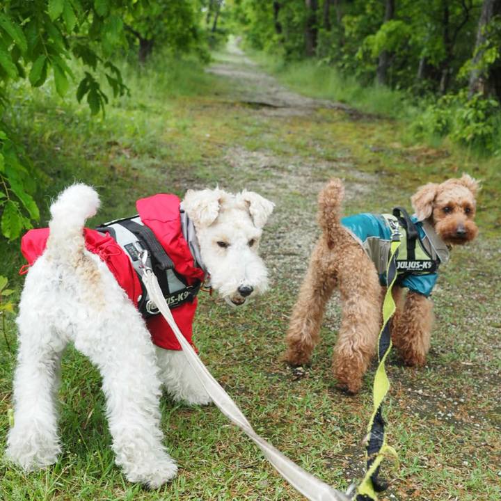 F3bfc416 d27c 42c0 8481 499b716c3c86