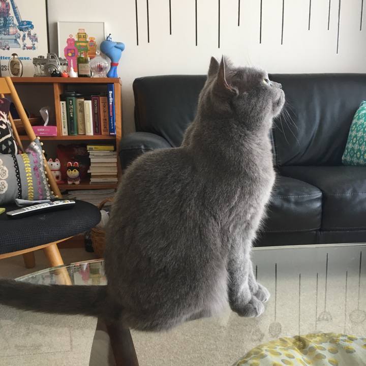 F3c0661a 0486 46e3 abfa 67e8df892df8