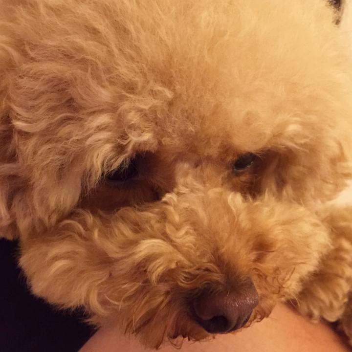 F3c0f4fd 7c9f 4759 9adc 8e0411bccc3c