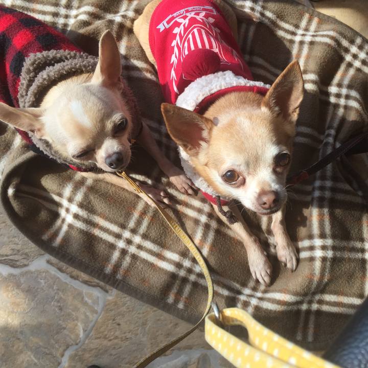 F3c0fcdf 09a7 4c8c a348 bdb70c4cc37b