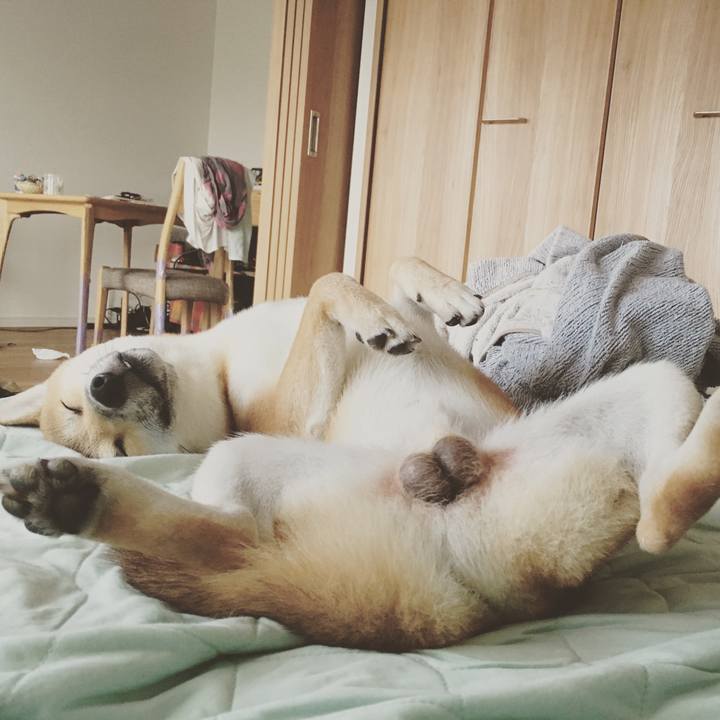 F3c12523 3e85 4589 85a3 aca4e293a585