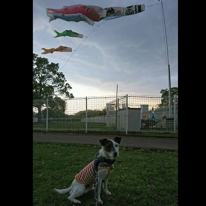 F3c1367b ccd6 48d9 a22a 7b00e969c07b