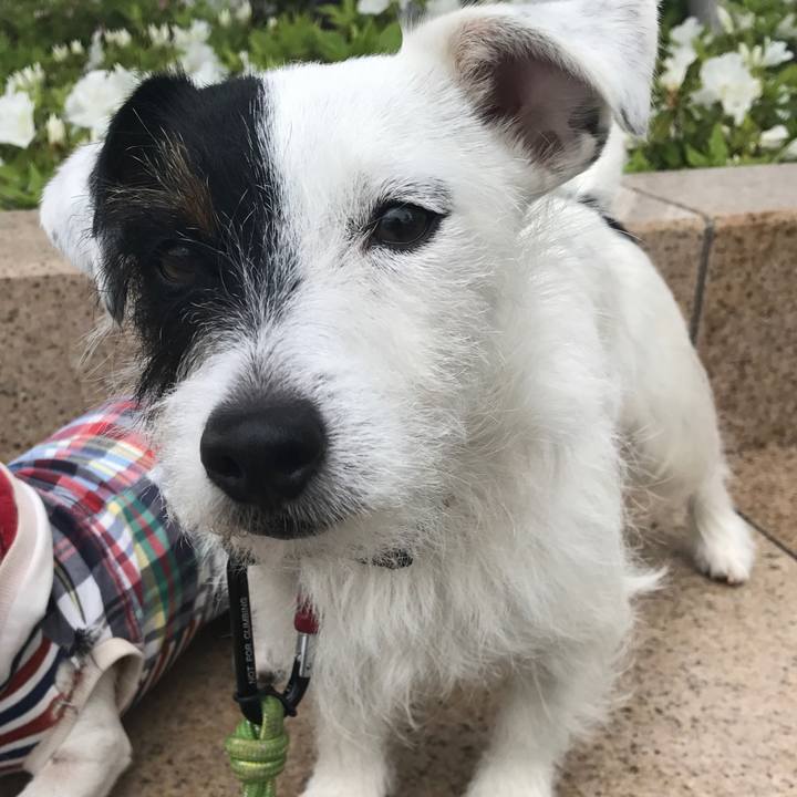 F3c1a0a5 fb54 4afd 894e 2cd2e61e9842