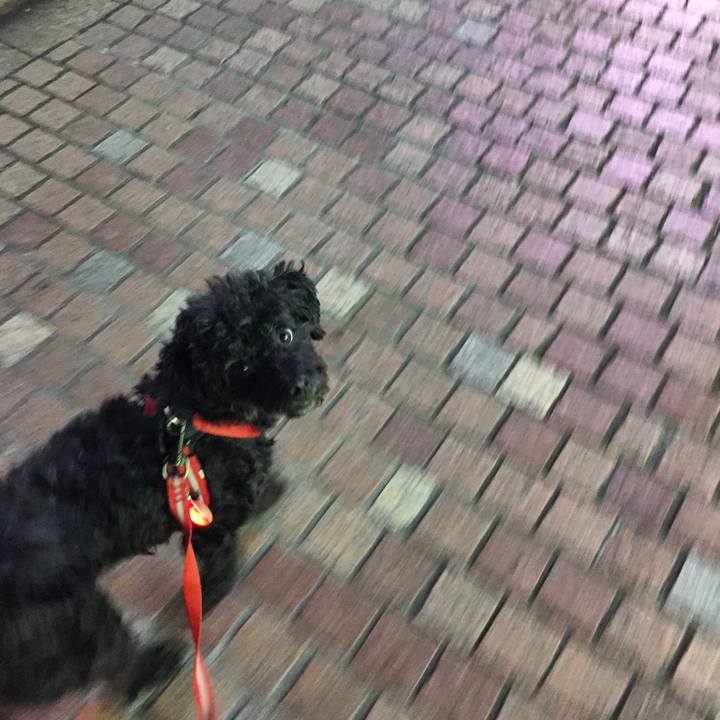 F3c1b600 d09e 4e44 932e b7496b34cf3a