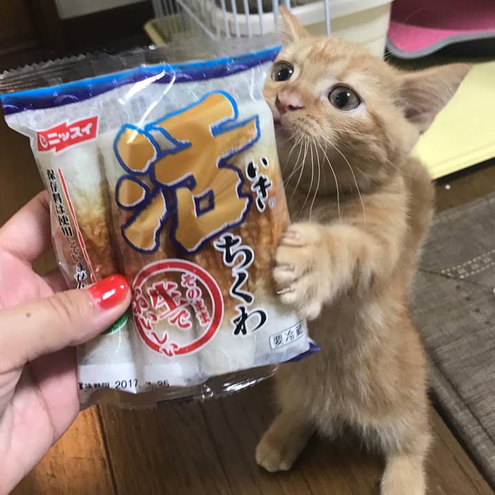 F3c22897 c533 4904 97af fc7781394a83