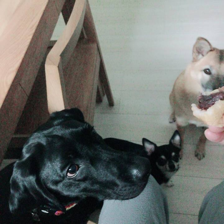 F3c3a966 f9e9 492f a79b 261b7a2926bb