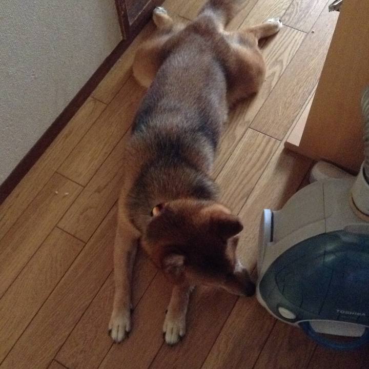 F3c3e63d 724d 430b 8465 7ee6a5829a26