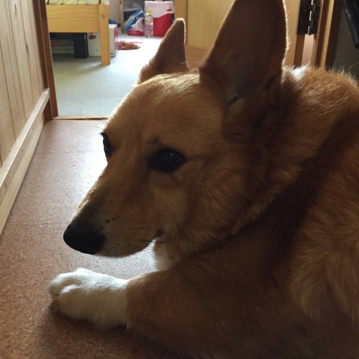 F3c4069b a045 4bc8 ae2f 60cbe1a2288a