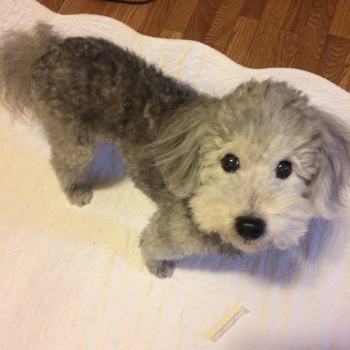 F3c431c9 be74 43b3 b1f5 99b6dbfb3f49