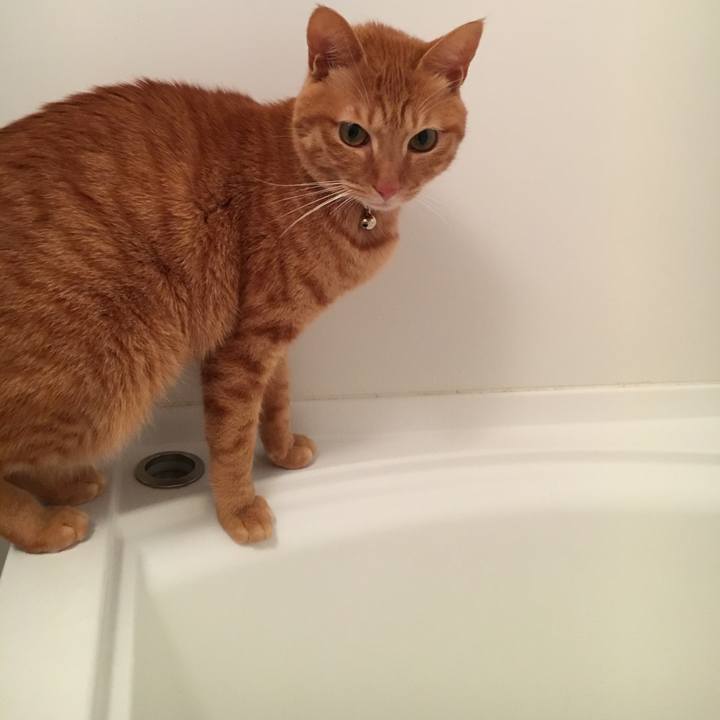 F3c5d28c 5079 4860 8ba7 258f59afa413