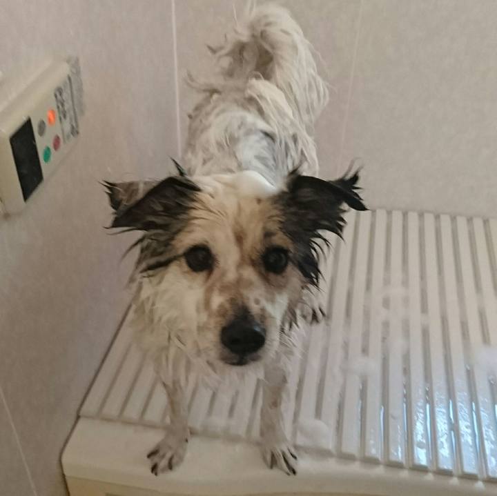 F3c69901 df74 44cc bedf 0362e28af481