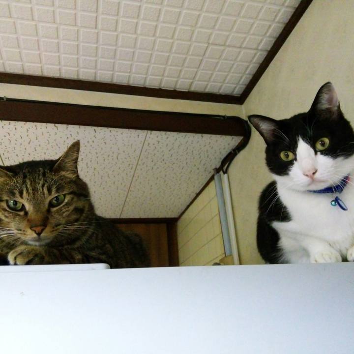 F3c6a1ed bfac 44ed 9bed 07d1a39a62af