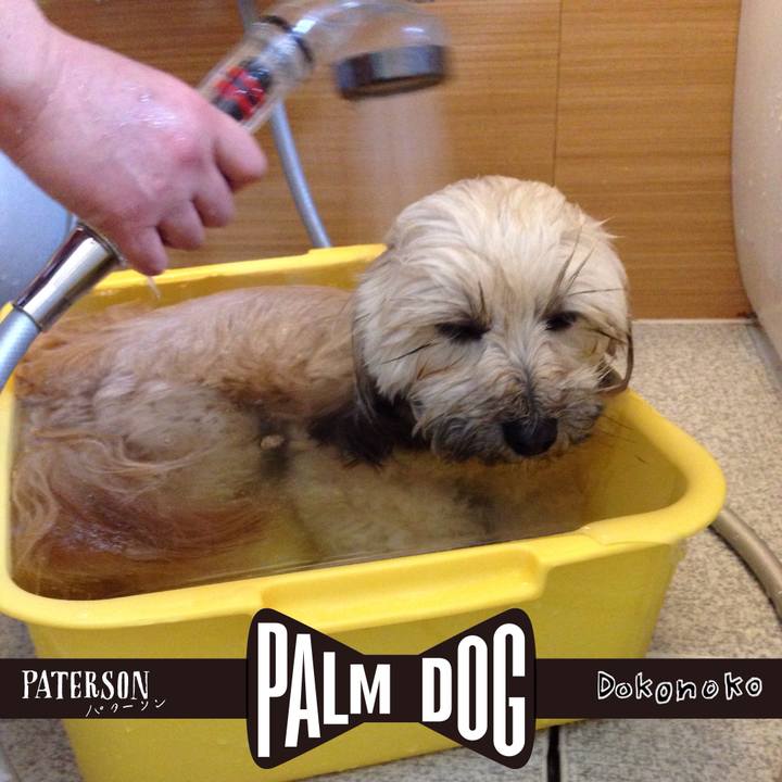 F3c7159a 7898 438c beab 33da431daf52