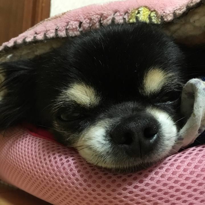 F3c7c6ae 7404 4020 af81 9c28246fe140