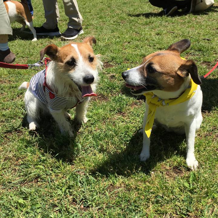 F3c7eb89 7780 474f bf98 ae4b58ebe6a3