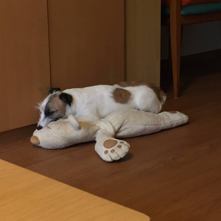 F3c88ce8 c714 4ca3 b42c a7b51c5ac86c