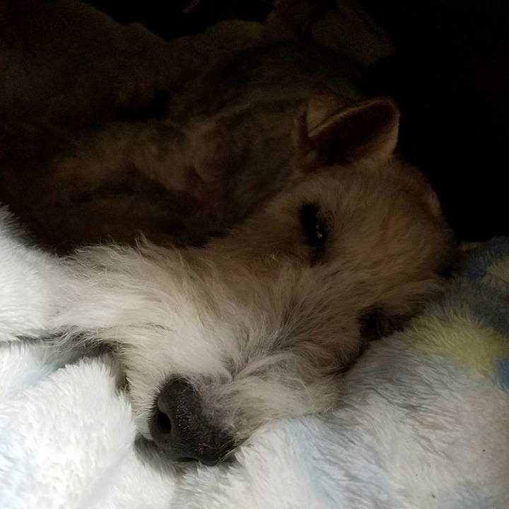 F3c89717 6773 4c7a afa6 c55cee37404e