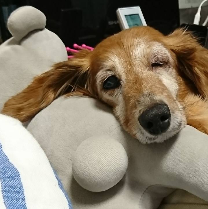 F3c9067f b4d2 4a85 a404 a7dd94a6d108