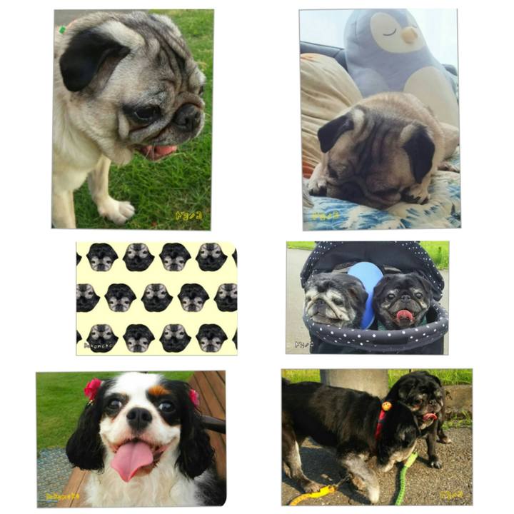 F3c908b0 3d86 49d2 a6b4 3c08855b06b7