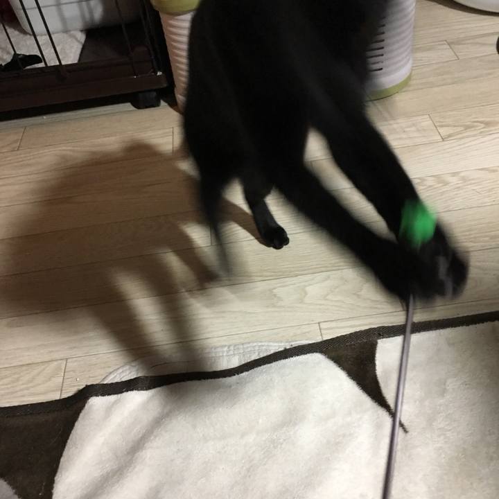 F3c91890 4e0f 4b38 9c06 c30ef8387f6b