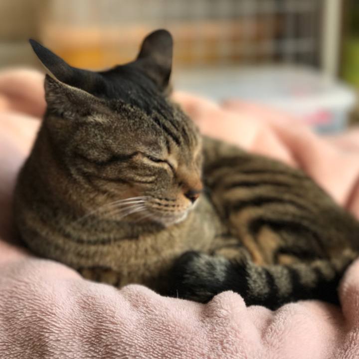 F3c9533a 18e2 4b6f ae07 941a919c1411