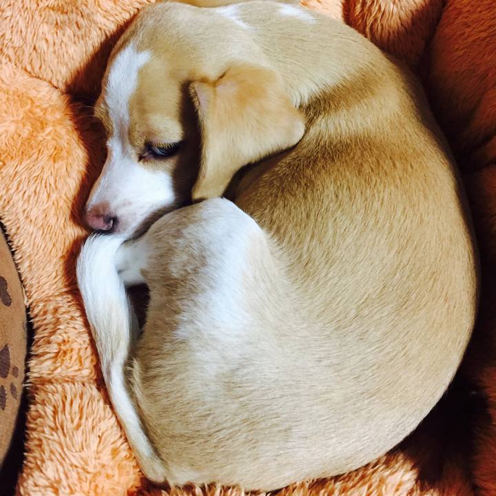 F3ca43b8 2853 4b9d a963 4e76bc1a4bce