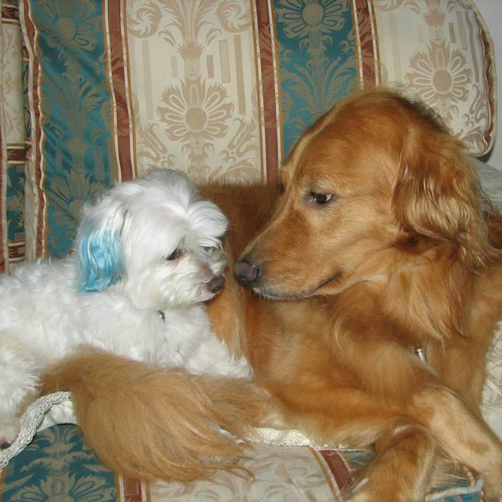 F3ca466f 9713 4a32 a047 bf70eb4a519c