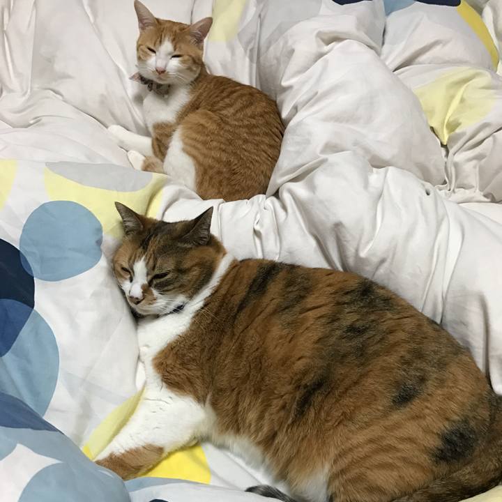 F3cb5d45 31ed 495b b0c4 7714c34b0e48