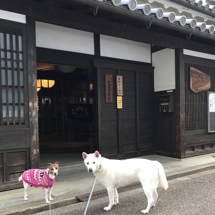 F3cb9ff5 e0d8 4e23 8dd9 be58c55020d4