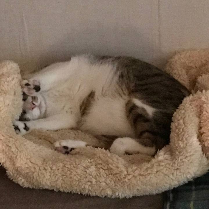 F3cc6e7a f353 4124 81df 1d0803875dfd