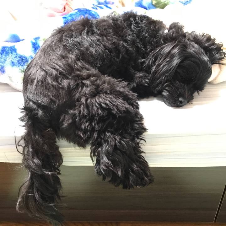 F3ccb7e6 7487 4dbe aaf1 bef4723d3884