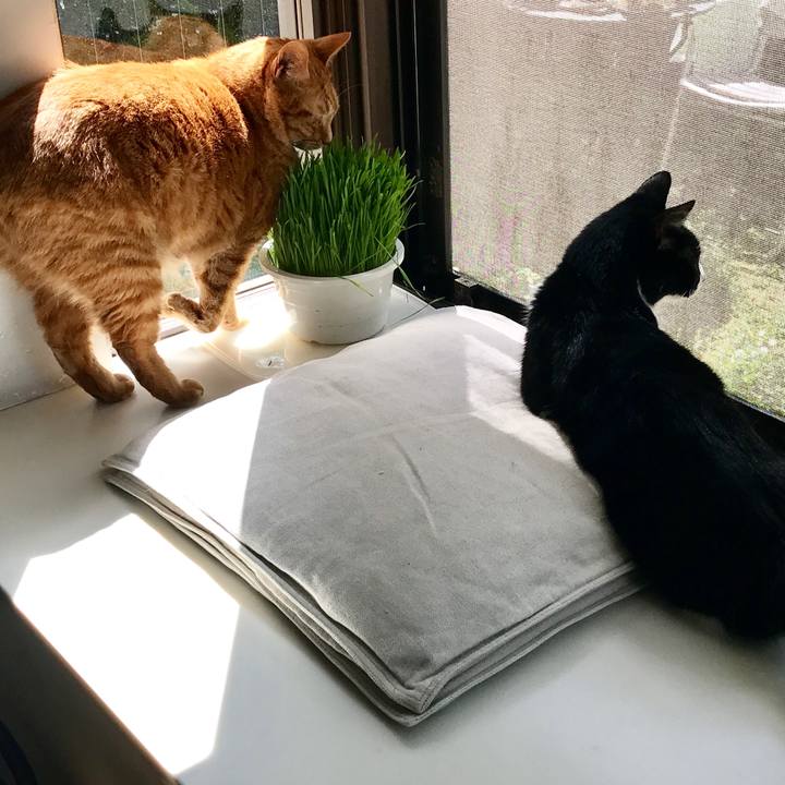 F3cd73d7 da8d 436d 9704 9785db4f3bab