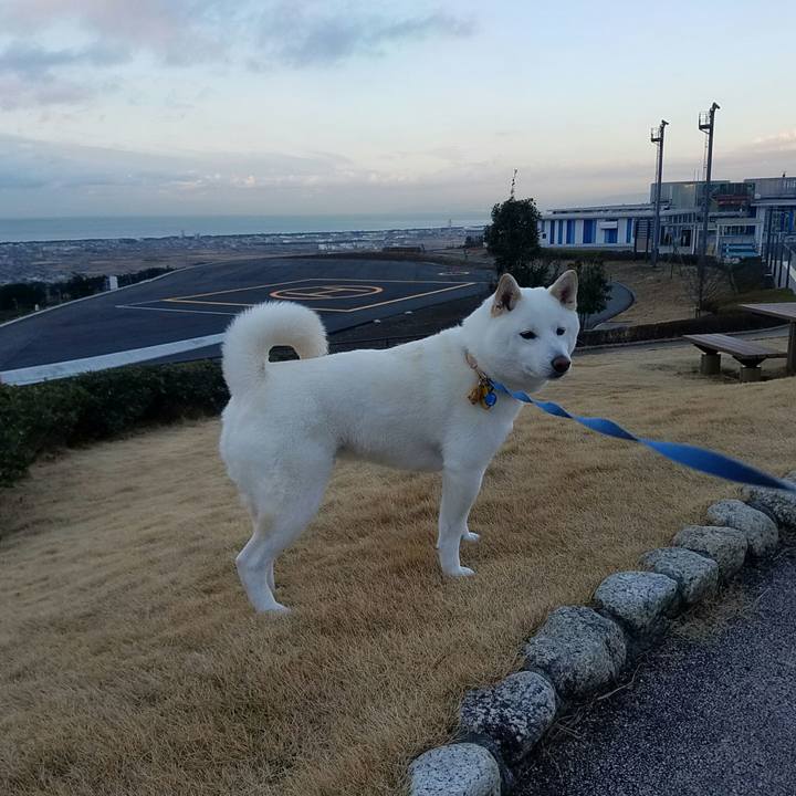 F3cda885 f3ae 402b a553 fab045e3d58d