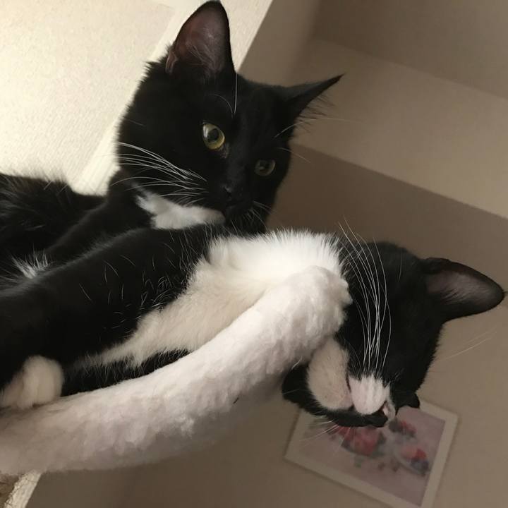 F3cee4f1 59fa 4d4c 929e 58035651f56c