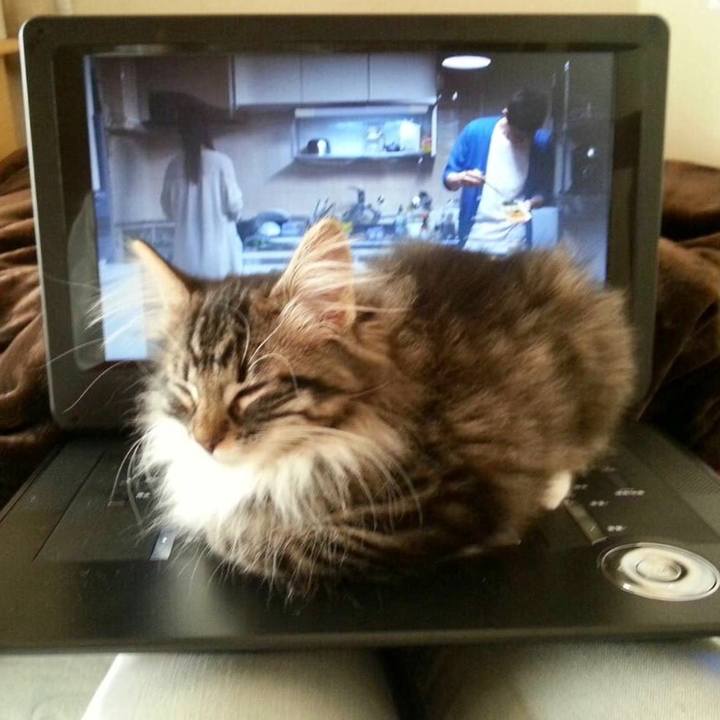 F3cee953 718f 49ab 9f54 5e19fb6bea93