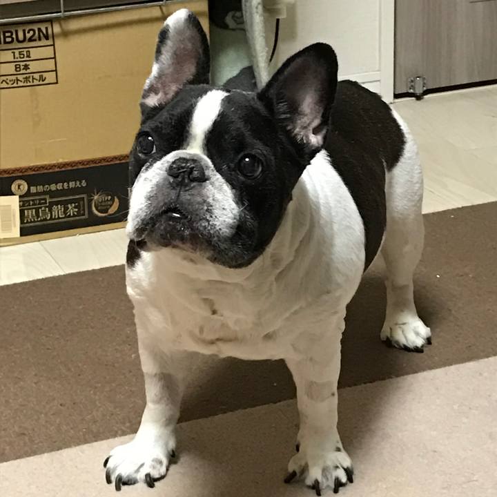 F3cff6b4 3a79 48e7 af87 b9b3e670604a