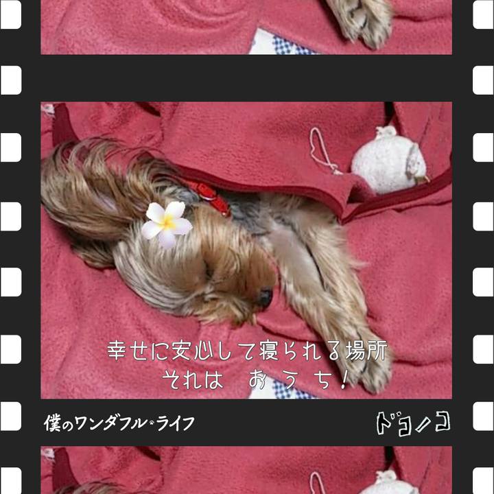 F3d16a5e 1143 4deb 8db6 89f42bea16e8