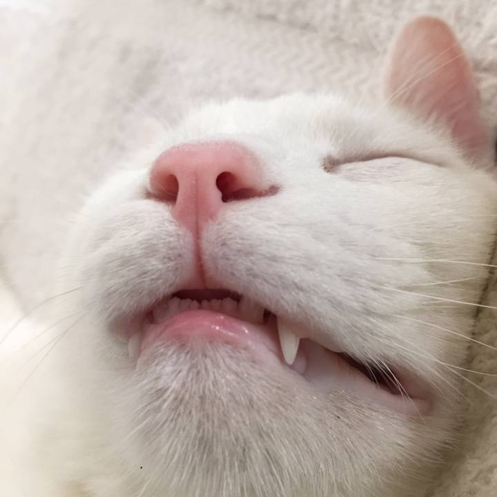 F3d1aa40 69cc 4dfd b714 62bdaa27325a