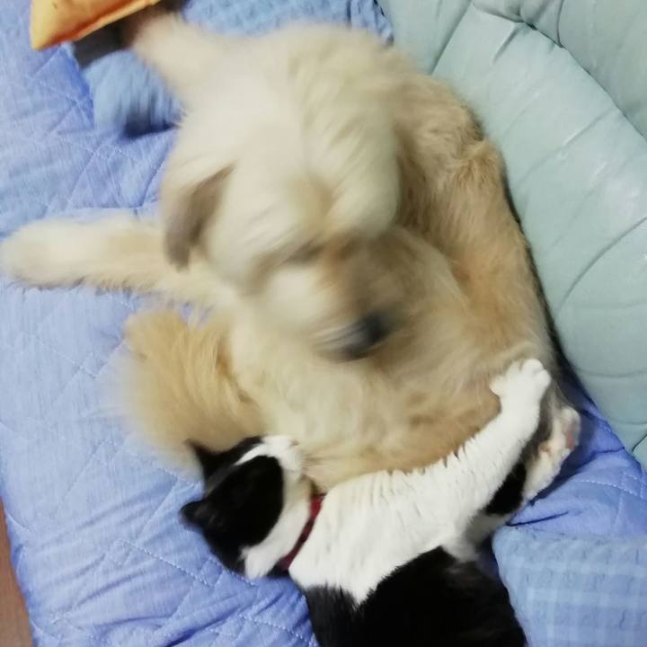 F3d1cc13 b04d 409b 9783 75be67964043