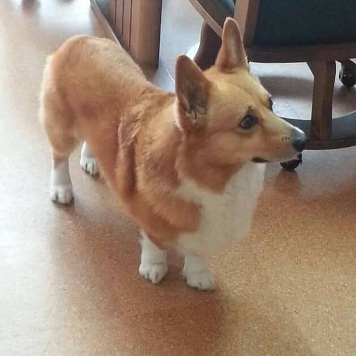 F3d1d916 f92d 4789 9278 a6a108a812e4