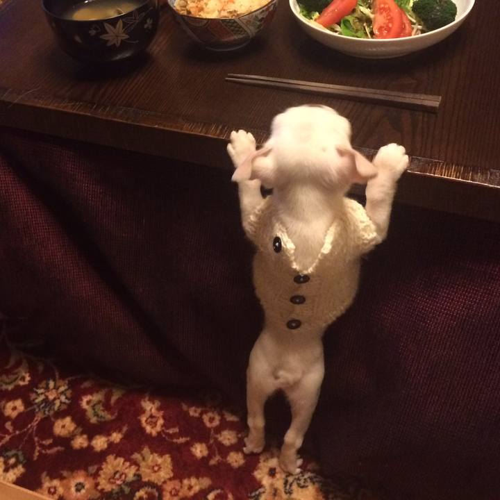 F3d20618 f737 4011 95fb e29f4fba0526