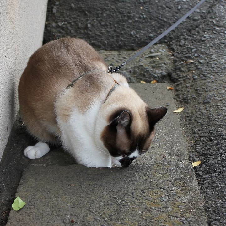 F3d2225f 9c96 4254 b602 8b8edc6681d6