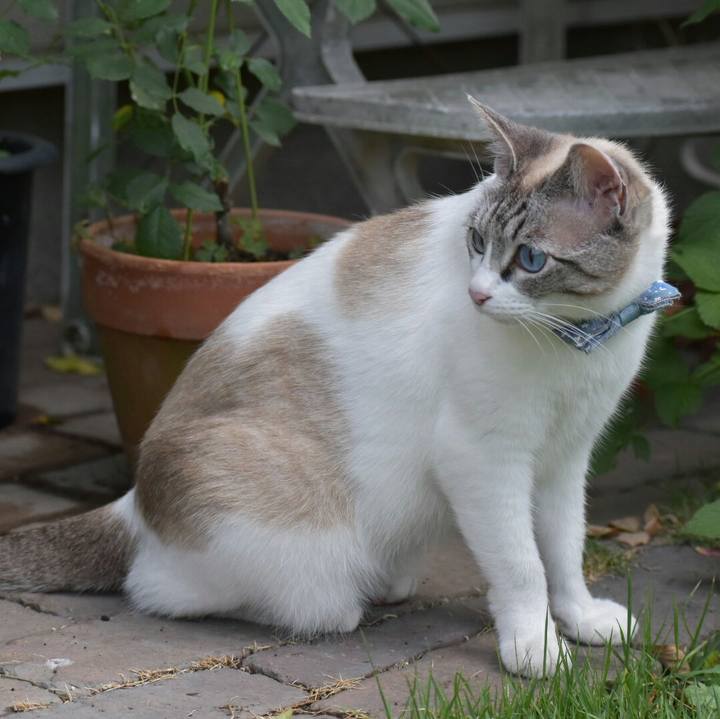 F3d2329d ede9 48fb 9101 3d7c50851e61