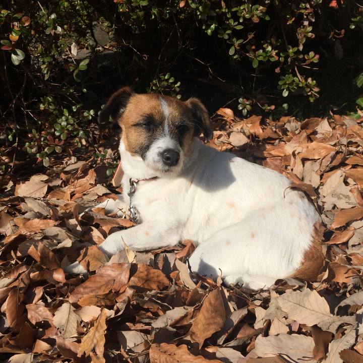 F3d2b689 25aa 4023 91ba 0a4e7b38ee4f